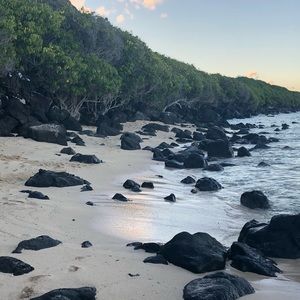 Meet your Posher, Pikky